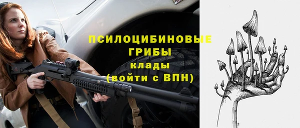 шишки Верхнеуральск
