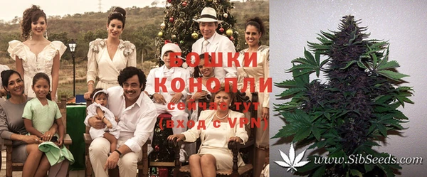 шишки Верхнеуральск