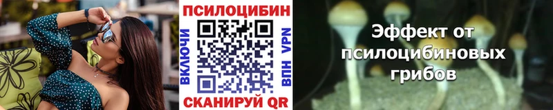 Купить закладки  Ладушкин  Псилоцибиновые грибы MAGIC MUSHROOMS 